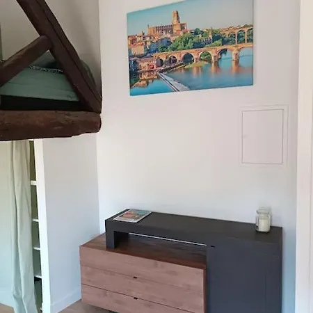 Centre Albi